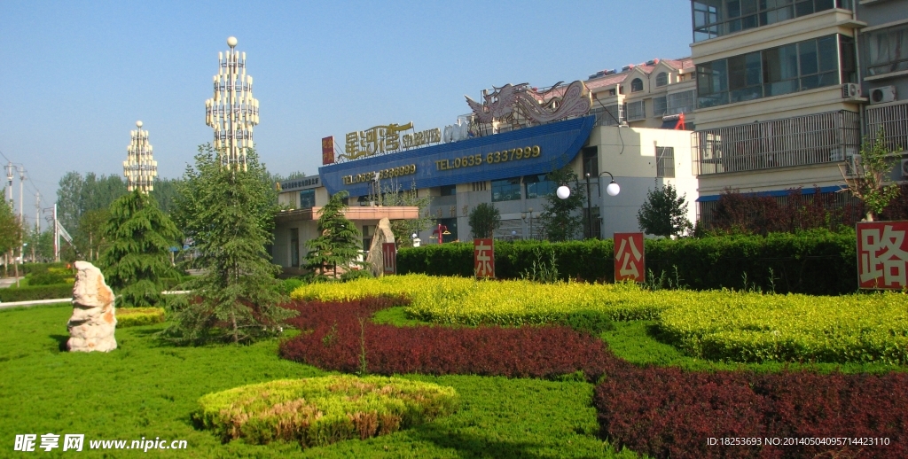 阳谷绿化