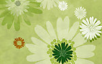 花纹