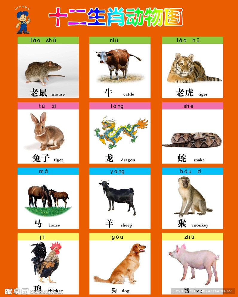 十二生肖动物图