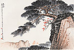 泰山松