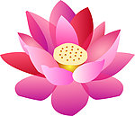 荷花一朵·矢量