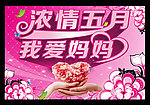 浓浓五月母亲节