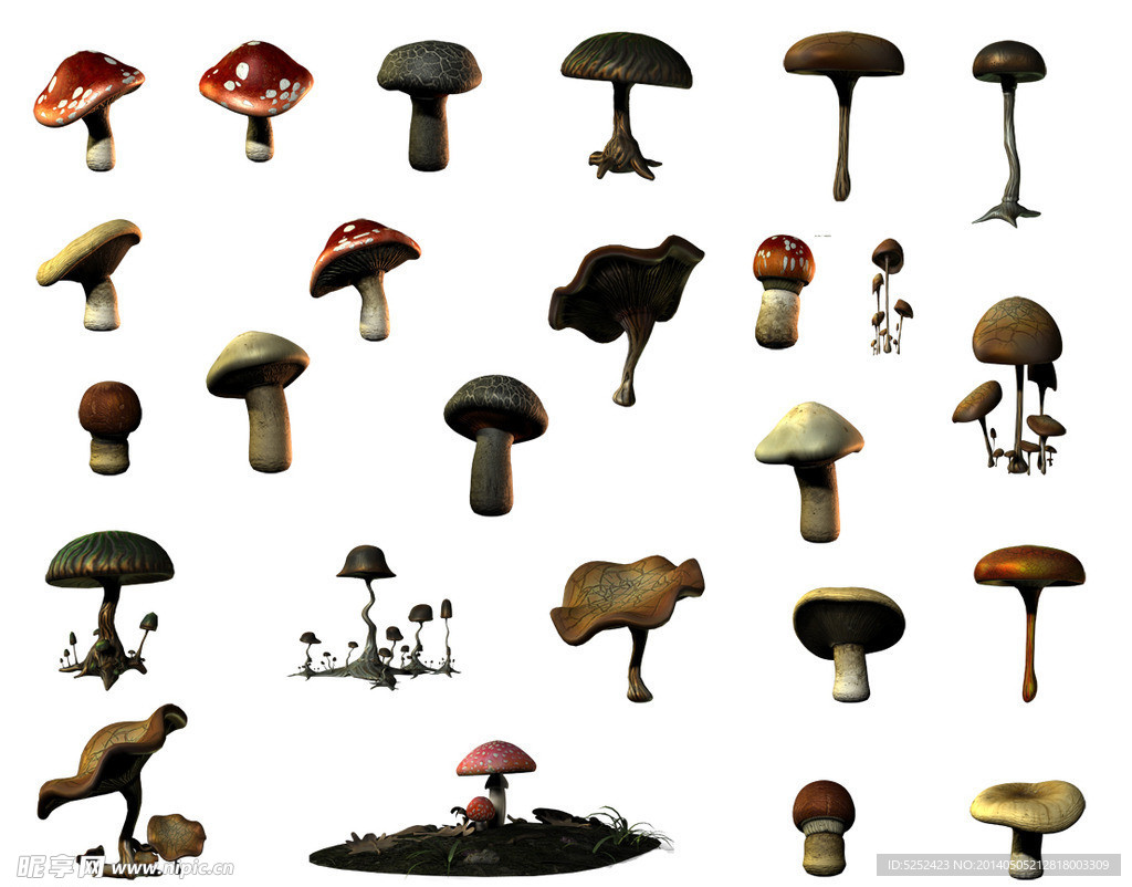 蘑菇图片素材-编号10021709-图行天下