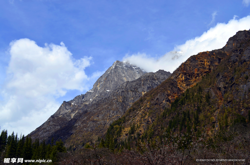 四姑娘山