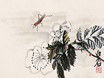 草虫蚂蚱