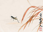 草虫蝗虫