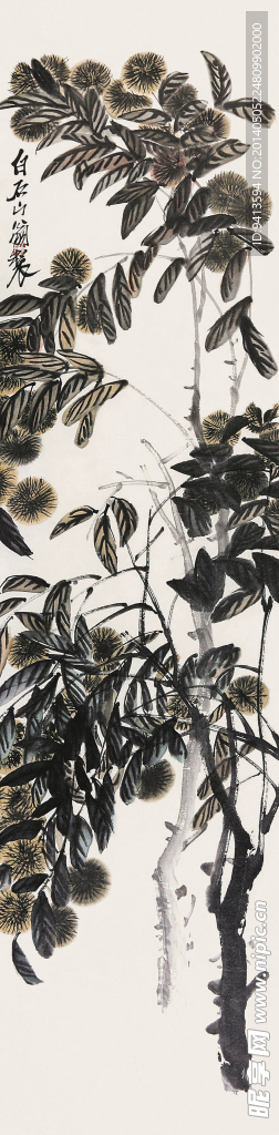 毛栗