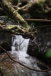 小桥流水人家