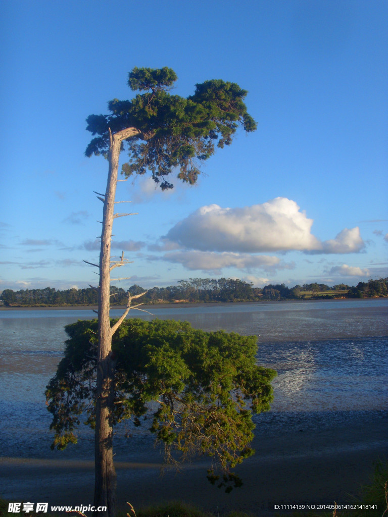 新西兰海滨风景