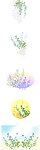 花纹