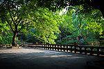望江公园