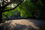 望江公园