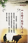 学校标语