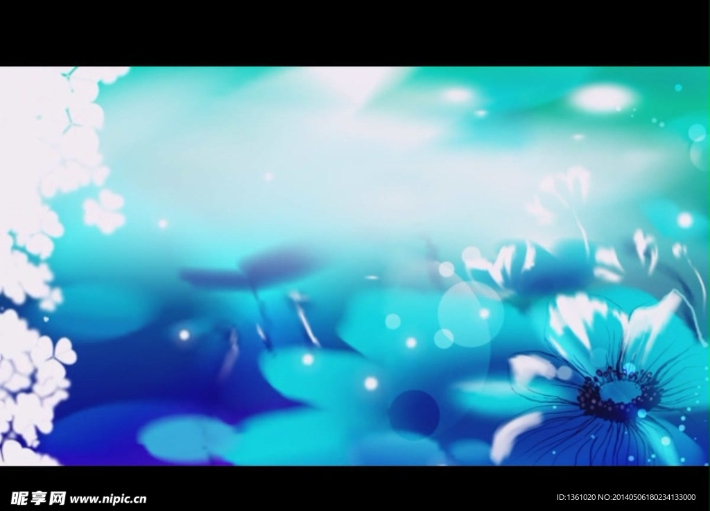 蓝色花朵背景视频素材