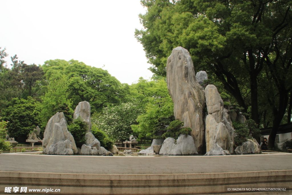 盆景