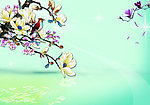 花鸟 玉兰