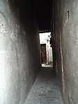 庭院深处
