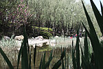 潍坊涨湎河河景