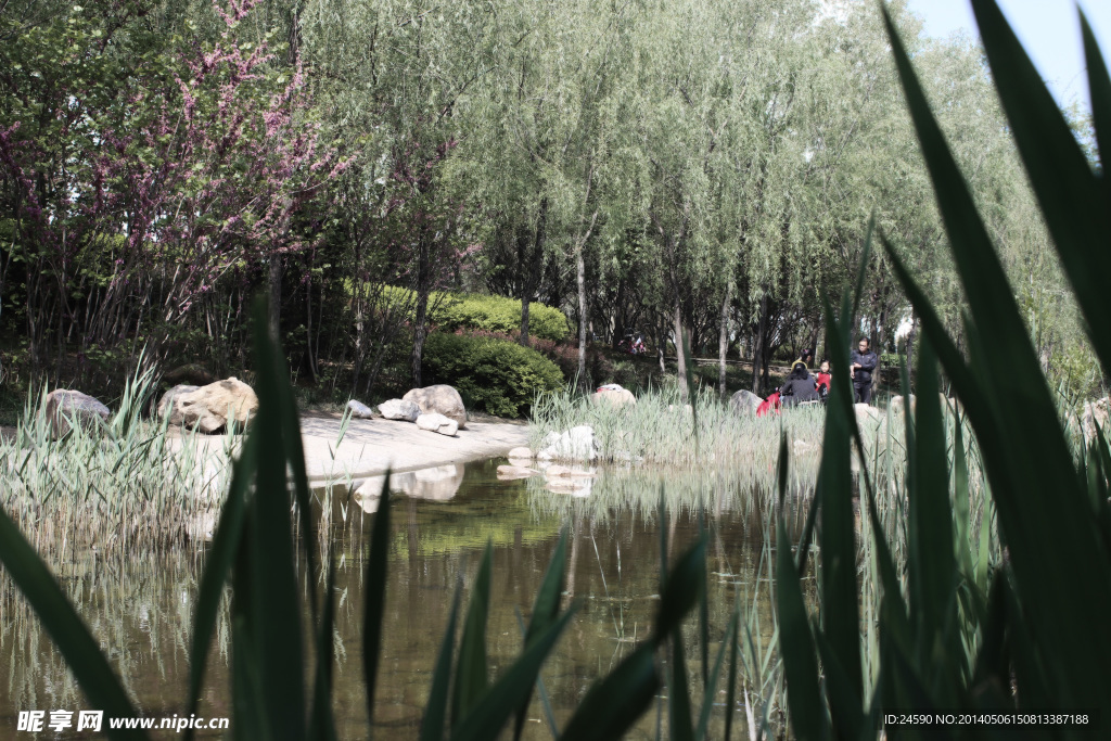 潍坊涨湎河河景