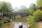 潍坊涨湎河景观