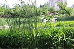 潍坊植物园