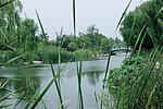 潍坊植物园 河景