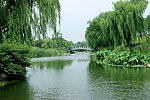 潍坊植物园 河景
