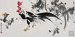 公鸡