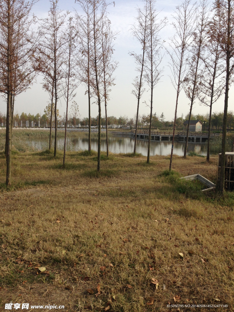 田园湖景