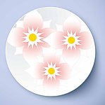 盘子花纹