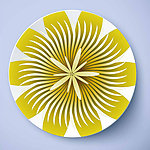 盘子花纹