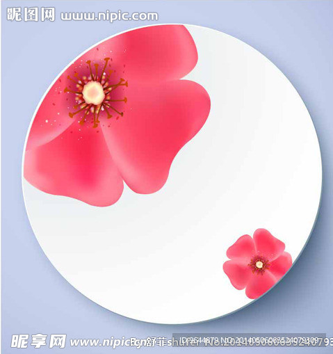 盘子花纹
