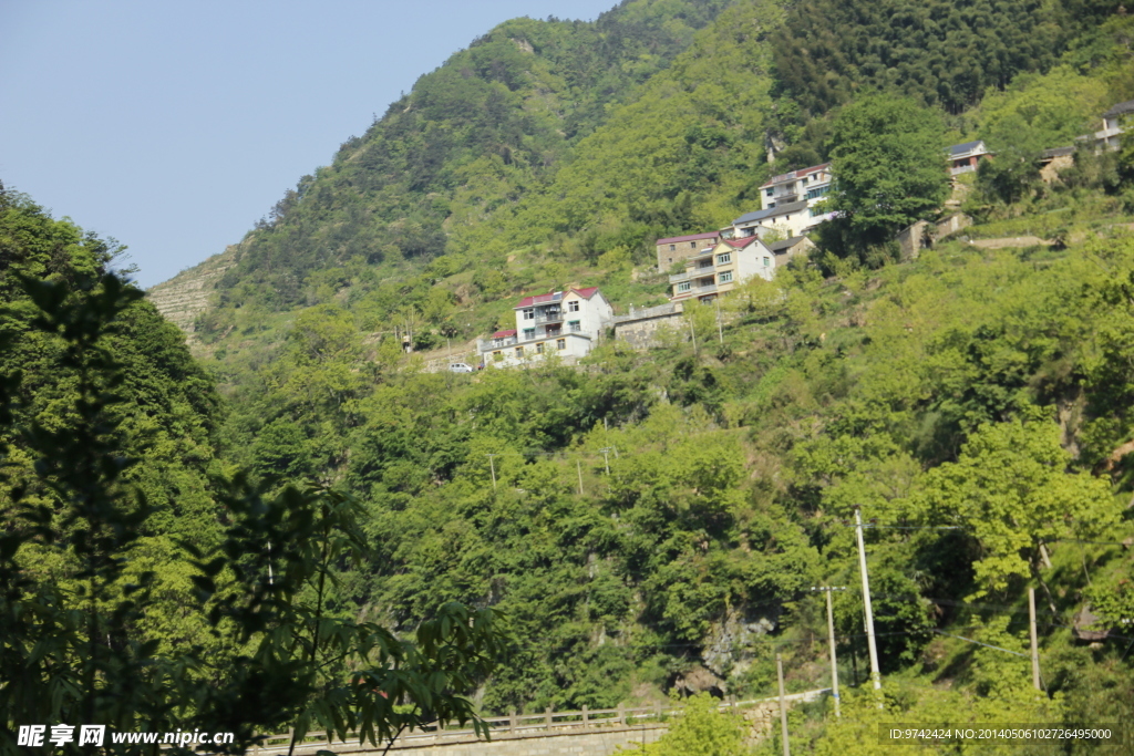 森林