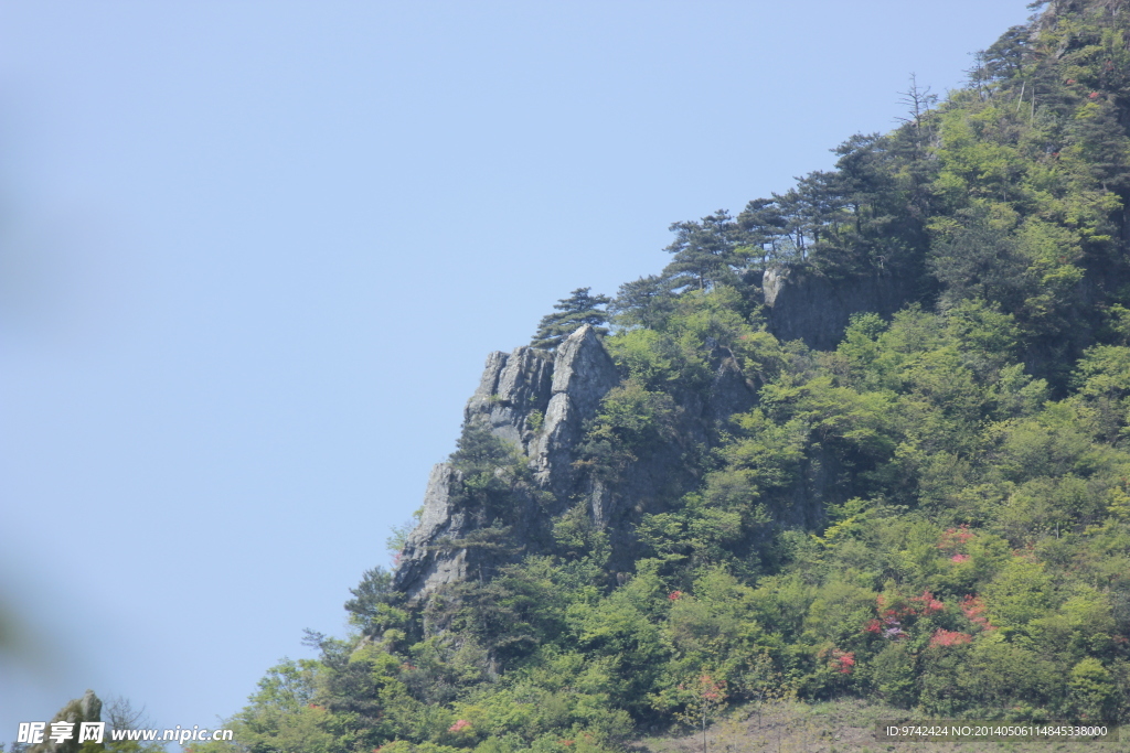 山林