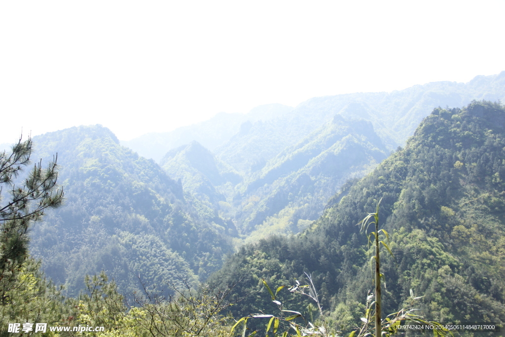 山林