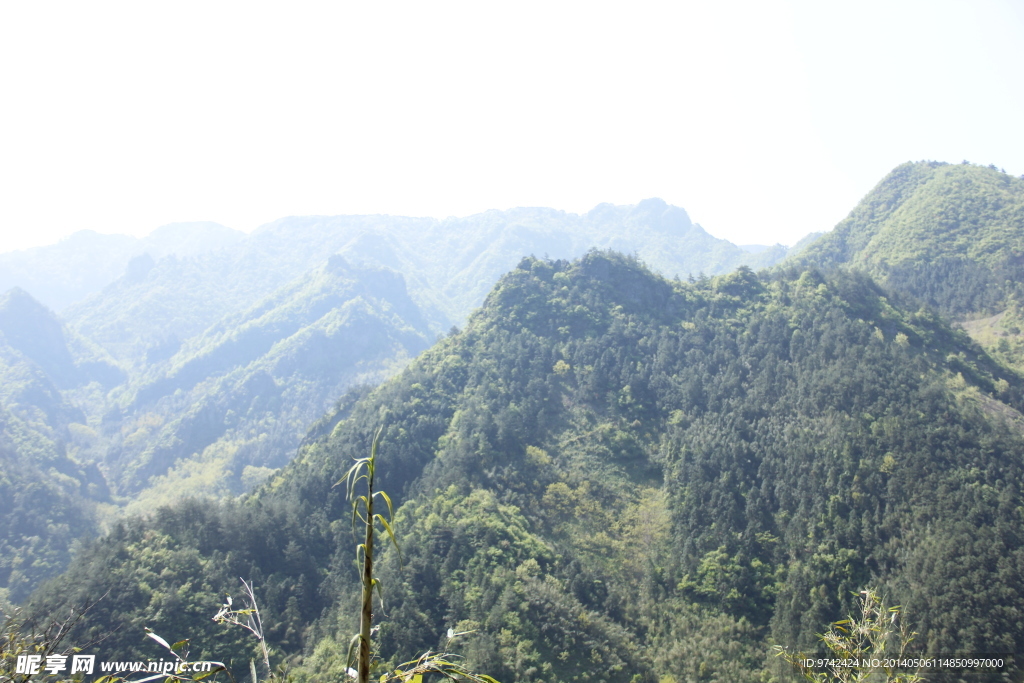 山林