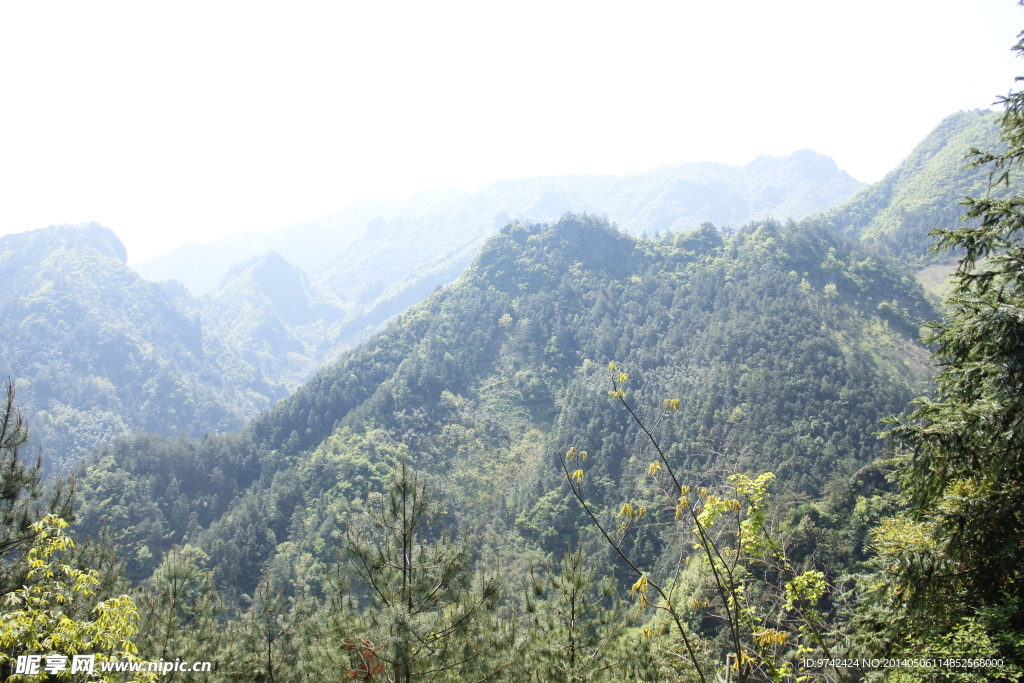 山林