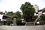 荆楚雄风