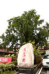 晴川历历汉阳树