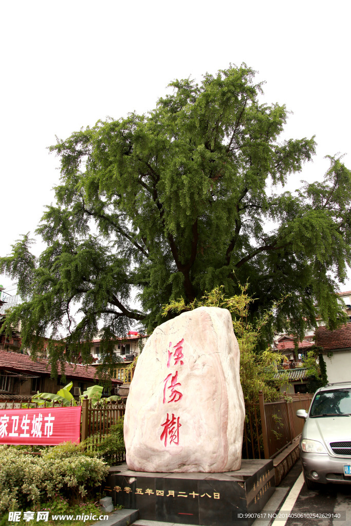 晴川历历汉阳树