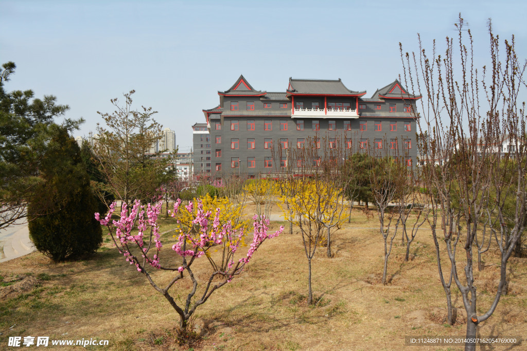 春日桃花映京城