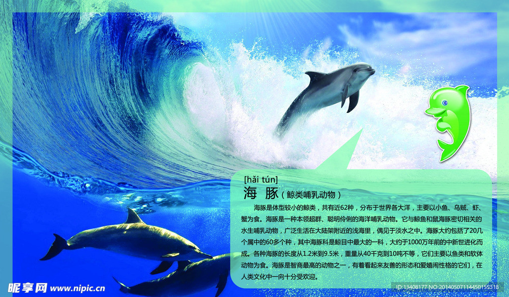 海豚
