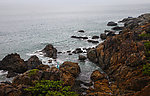 大海风情