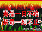 禁毒 图版