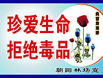禁毒图版