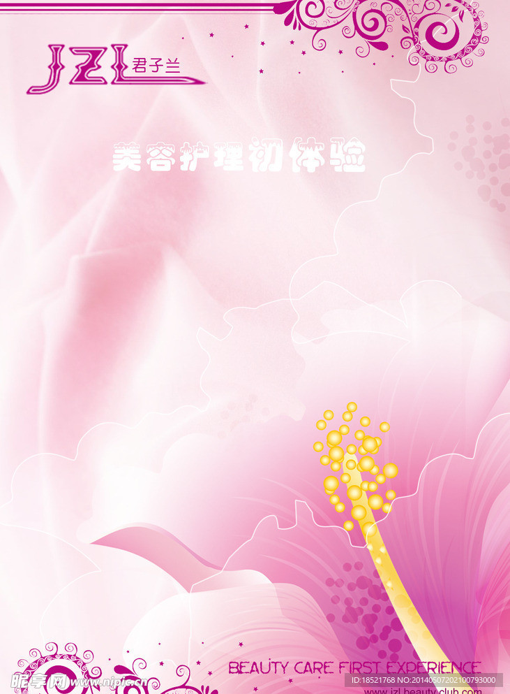 花朵紫色