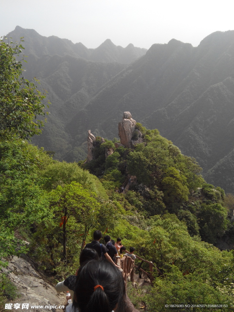 翠华山