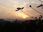 金色夕阳