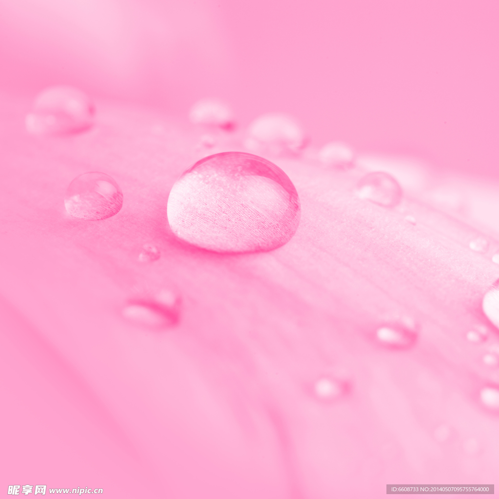 露珠