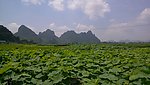 广西柳江县风光